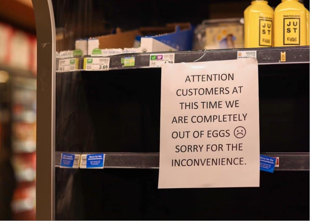 Egg shortage hits Roaring Fork Valley; high demand, avian flu are